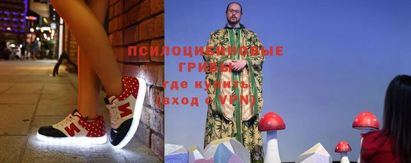 ешки Алзамай