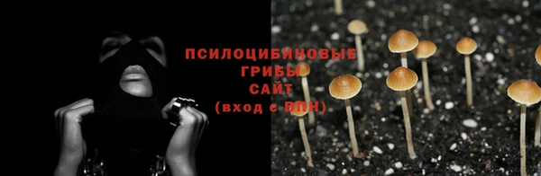 ешки Алзамай