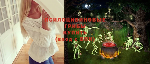 амф Алексин