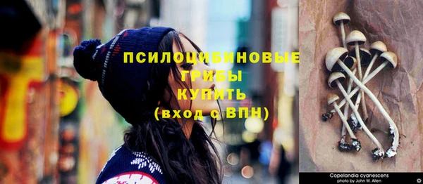гидропоника Абдулино