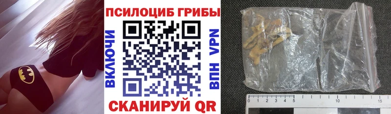 как найти наркотики  Мыски  Псилоцибиновые грибы мухоморы 